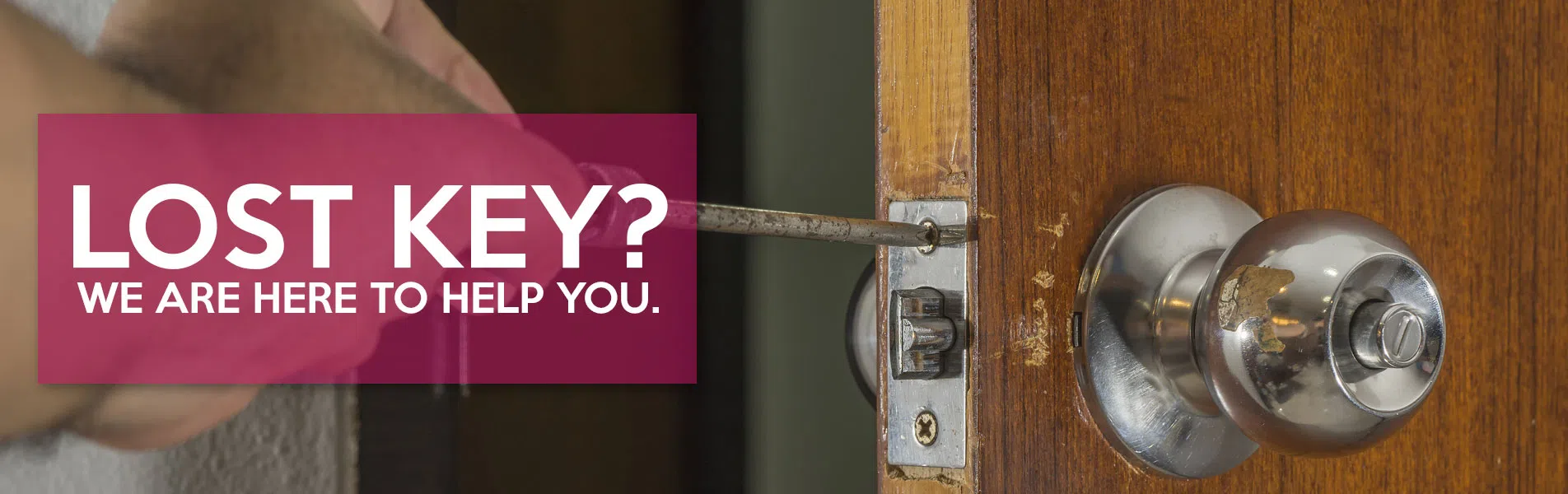 #bslide1 logo-image - banner-n17-sli-001